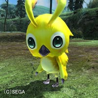 ラッピースーツの着心地はいかが